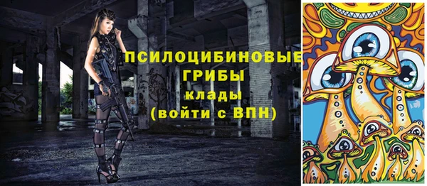 спиды Алзамай