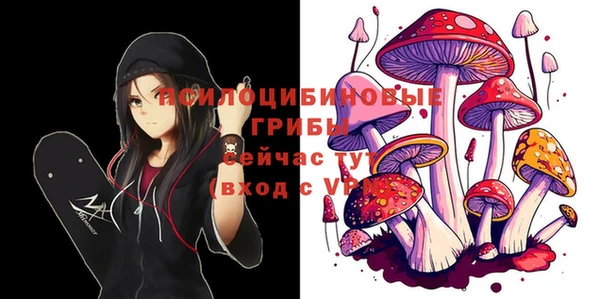 прущий лед Абаза