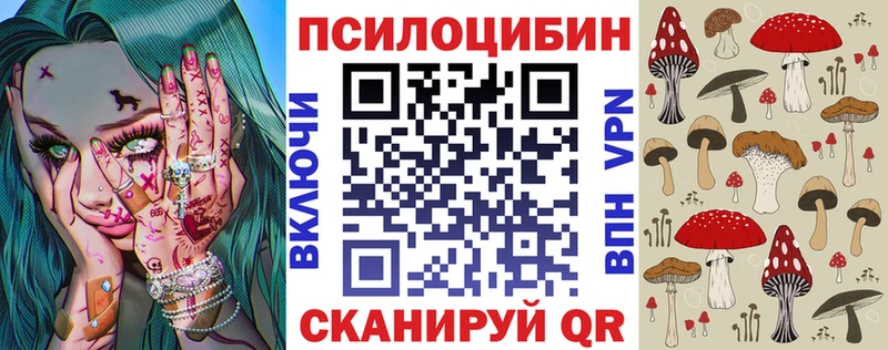 где найти Норильск МЕГА маркетплейс Псилоцибиновые грибы Cubensis